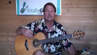 The Monkees  Pleasant Valley Sunday  Guitar Lesson [upl. by Melmon]