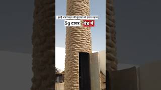 दुबई में पेड़ के अंदर मोबाइल टावर  Dubai dynamic tower building [upl. by Zinnes]