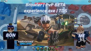 Brawler  PvP Beta Experienceexe  TDS [upl. by Alyehs743]