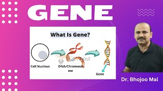 GENE  What is Gene  by Dr Bhojoo Mal [upl. by Fadil5]