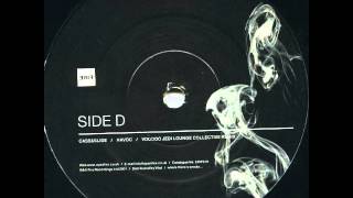 Cass amp Slide  Havoc Voodoo Jedi Lounge Collective Remix 2002 [upl. by Ahsenahs176]