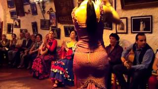 Flamenco Dance by Spanish Gypsies Part 2 [upl. by Zetnas]