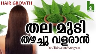 മുടി പെട്ടെന്ന് തഴച്ചു വളരാൻ ഈ ഇല  Latest malayalam health tips [upl. by Frerichs]