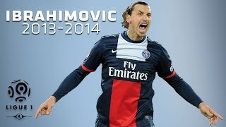 Zlatan Ibrahimovic  All Goals in 20132014 1st half  PSG [upl. by Gassman821]