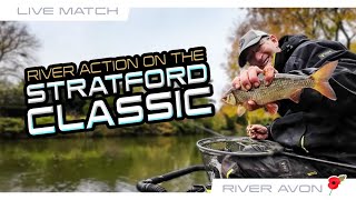 The Stratford Classic RIVER ACTION [upl. by Faxan]