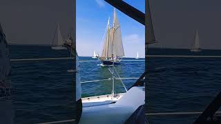 Schooner Sailing in all its Glory shorts sailing schooner subscribe [upl. by Rior]