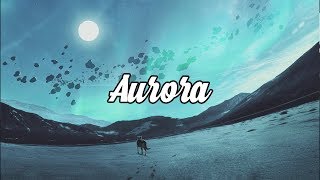 Aurora Beautiful Chillstep Mix 2017 [upl. by Angell]