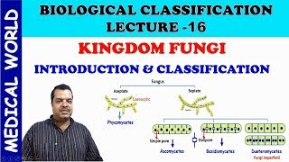 INTRODUCTION OF FUNGI AND CLASSIFICATION  KINGDOM FUNGI  BIOLOGICAL CLASSIFICATION  LECTURE 16 [upl. by Maximilien566]