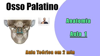 Osso Palatino  Teórica Aula 1  Anatomia  Anatomia Humana [upl. by Belden]