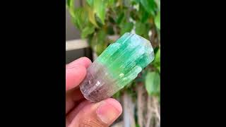 Stunning Bicolor TourmalineCrystal  PaprokTourmaline  TourmalineSpecimen [upl. by Ahsoet822]