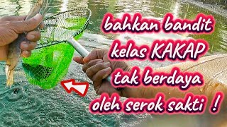 ada yang aneh dengan serok sakti 🤔 seperti mempunyai kekuatan magis yang membuat ikan takluk [upl. by Anerol212]