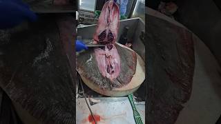 how to cut a stingray fish fastest remove skin and cuttingshorts [upl. by Cora]