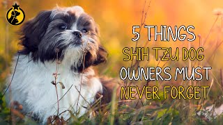 5 Things Shih Tzu Dog Owners Must Never Forget [upl. by Hereld175]