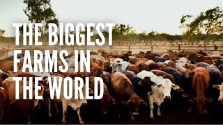 The Top 10 Biggest Farms in the World [upl. by Sillad896]