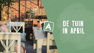 Veel nieuwigheden in de tuin een rondleiding I Angelo Dorny [upl. by Ahsiloc]