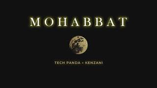 Mohabbat  Tech Panda amp Kenzani  Sufi Electronica  Official Visualizer [upl. by Aryamo]