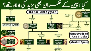 Who were the Umayyad rulers after Yazid [upl. by Suixela]