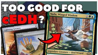 Nadu Winged Wisdom 🛠 Bringing MODERN and CEDHs BEST NEW DECK to BUDGET COMMANDER edh [upl. by Ojela]