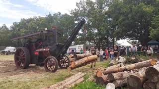 Weeting steam Rally 2024 log cutting display [upl. by Feldt]