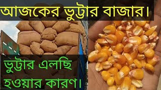 জানা গেলো ভুট্টার এলছি হওয়ার মুল কারন। [upl. by Aihselef]