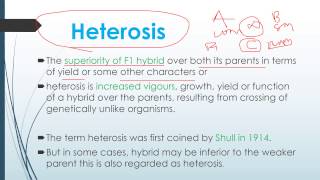 Heterosis and Theories of Heterosis [upl. by Morris166]