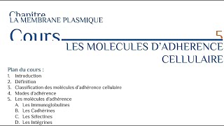 Les molécules d adhérence cellulaire [upl. by Missi66]