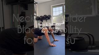 Neck Mobility for Jiu Jitsu [upl. by Torras826]