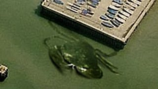 19 BIZARRE Things Found on Google Earth [upl. by Ameg]