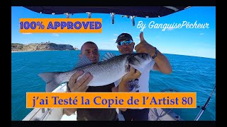 Test Copie ARTIST FR80 Leurre AliExpress pêche [upl. by Kosse185]