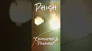 Phish  quotCrosseyed amp Painlessquot  21697  Alter Wartesaal  Cologne Germany phish livemusic [upl. by Atir]