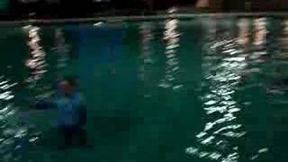 Jumping in our hotel pool with clothes on Disney Senior Trip [upl. by Edik]