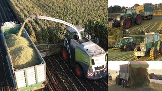 Steenweg chopping corn [upl. by Dom]