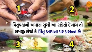 how to Pitru Paksha 2024 પિતૃ પક્ષ પહેલા કરી લો આ કામ નહિ તો પિતૃઓ થશે ના રાજ Navi ashao nava armano [upl. by Roter916]