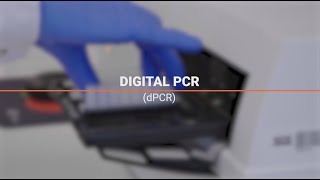 Digital PCR dPCR [upl. by Means850]