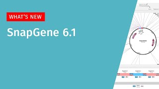 Whats New in SnapGene 61 [upl. by Armilla912]