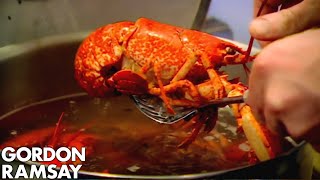 Cooking Lobster with Jeremy Clarkson  Gordon Ramsay [upl. by Eveline]