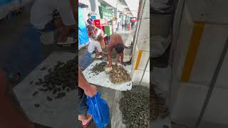 Bought seafood sa Coastal Manila food seafood fish food foodlover foodie [upl. by Ilesara]