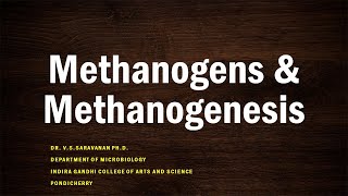 Methanogenesis [upl. by Kisor]