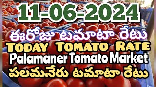 పలమనేరు 🍅🍅🍅టమాటో మార్కెట్ ధరలు 11062024 ఈ రోజు టమోటా ధర Palamaner Marketckgowthamvlogs [upl. by Iorgo]