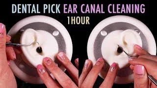 ASMR 1 Hour of Ear Canal Cleaning w Dental Pick No Talking [upl. by Refiffej]