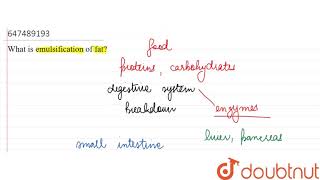 What is emulsification of fat  10  General doubts  BIOLOGY  LECTURE NOTES CREATED QUESTIONS [upl. by Daitzman]