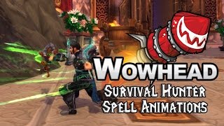 Legion Survival Hunter Spell Animations [upl. by Reinert]