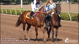 🔥Manchas C La Estrella ✡️🔥 Futurity Aniversario Fresno Hipodromo SIN [upl. by Lisha674]