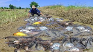 Unbelievable This fishing Near The Village And Easy Simple fishing In Rain season [upl. by Wilsey]