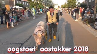 Oogststoet Oostakker 2018 [upl. by Sirad]