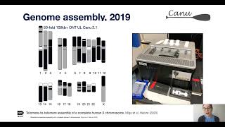 Telomere to Telomere Chromosome Assemblies New Insights Into Genome Biology and Structure [upl. by Mozart]