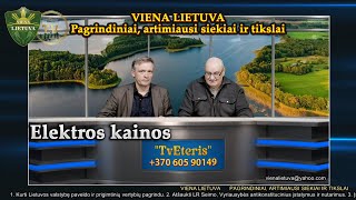 Viena Lietuva elektros kainos Kalba Signataras Zigmas Vaišvila ir teisininkas Alvydas Jokšas [upl. by Martica]