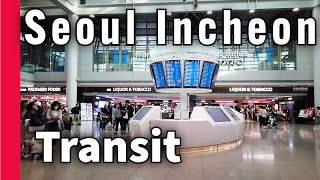 【Airport Tour】2023 How to Transit in Seoul Incheon Airport [upl. by Harlene]