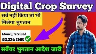 खुशखबरी 👉 Digital Crop Survey । सर्वेयर का सर्वे पूरा नहीं तो भी मिलेगा भुगतान 👈👈 [upl. by Keraj587]