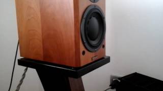 Dynaudio Focus 110 Bass I love you [upl. by Asaret174]